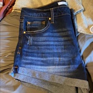 Size 13/31 shorts